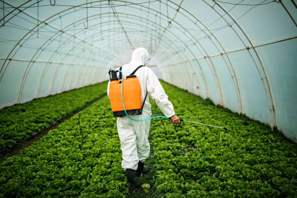 Best Affordable Pest Control Services  in Fairfield Glade, TN