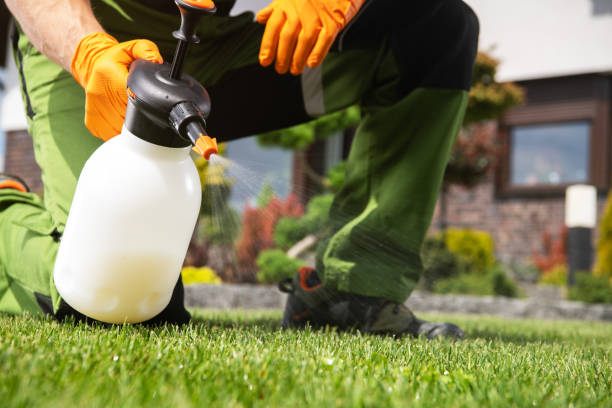 Best Pest Removal Services  in Fairfield Glade, TN