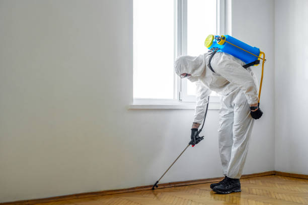 Best Emergency Pest Control  in Fairfield Glade, TN