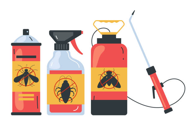 Best Termite Control Services  in Fairfield Glade, TN