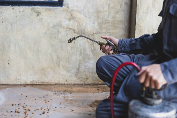 Best Best Pest Control Companies  in Fairfield Glade, TN