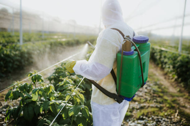 Best Residential Pest Control  in Fairfield Glade, TN